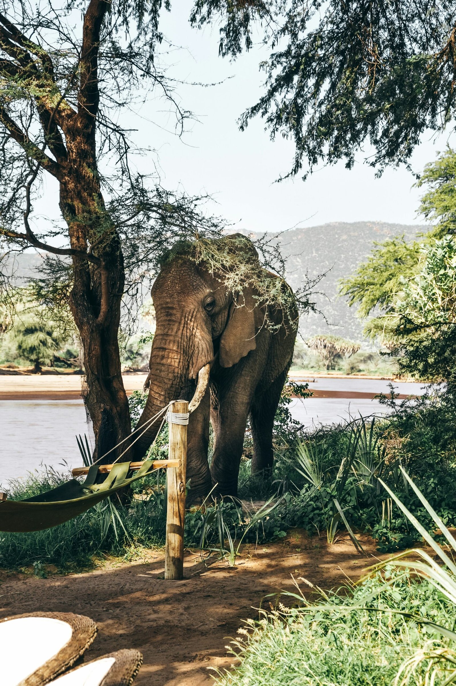 Samburu