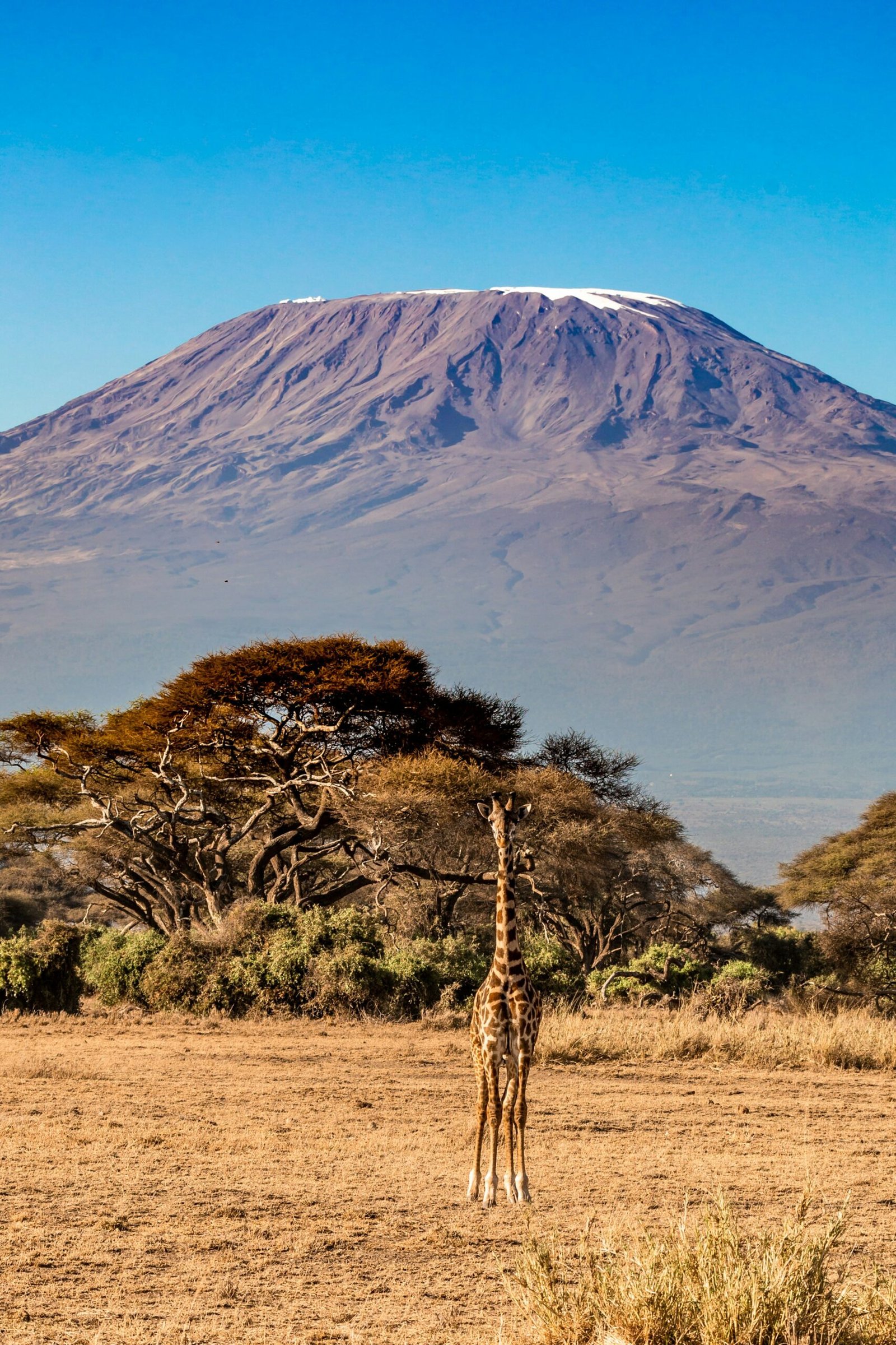 Amboseli
