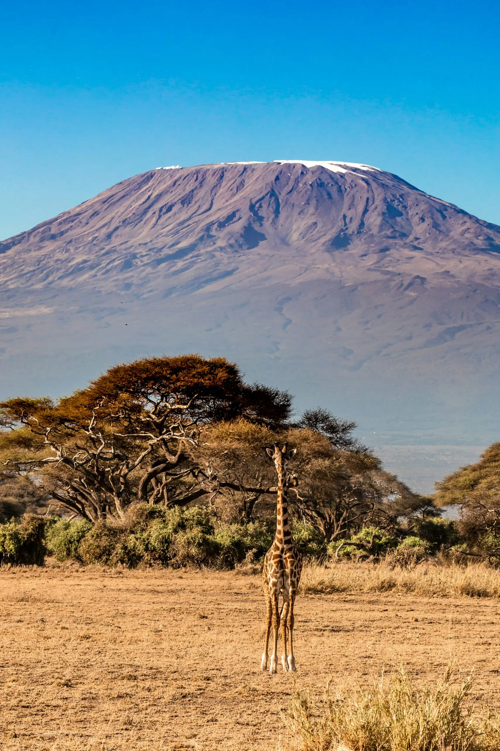 Amboseli