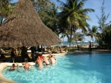 Swim up bar scaled (1)