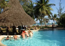 Swim up bar scaled
